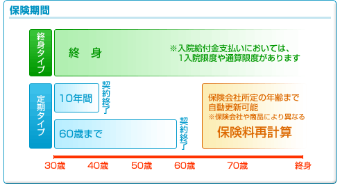 ی(^CvƏIg^Cv)